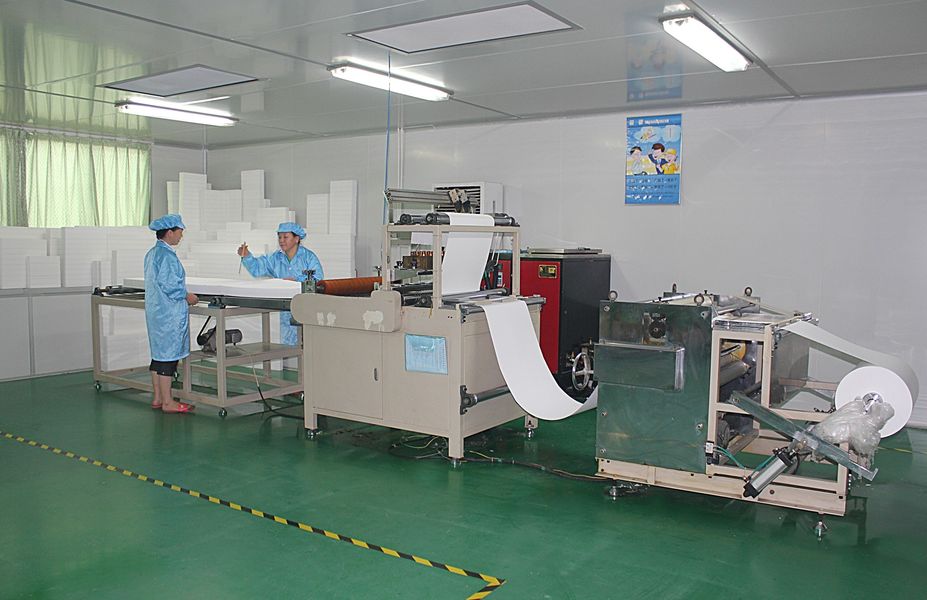 La Cina Dongguan Ivy Purification Technology Co., Ltd. 